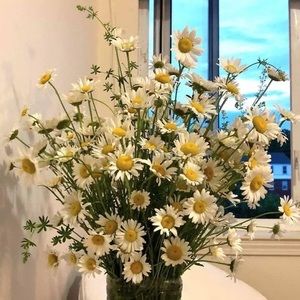 Meet your Posher, Phuong